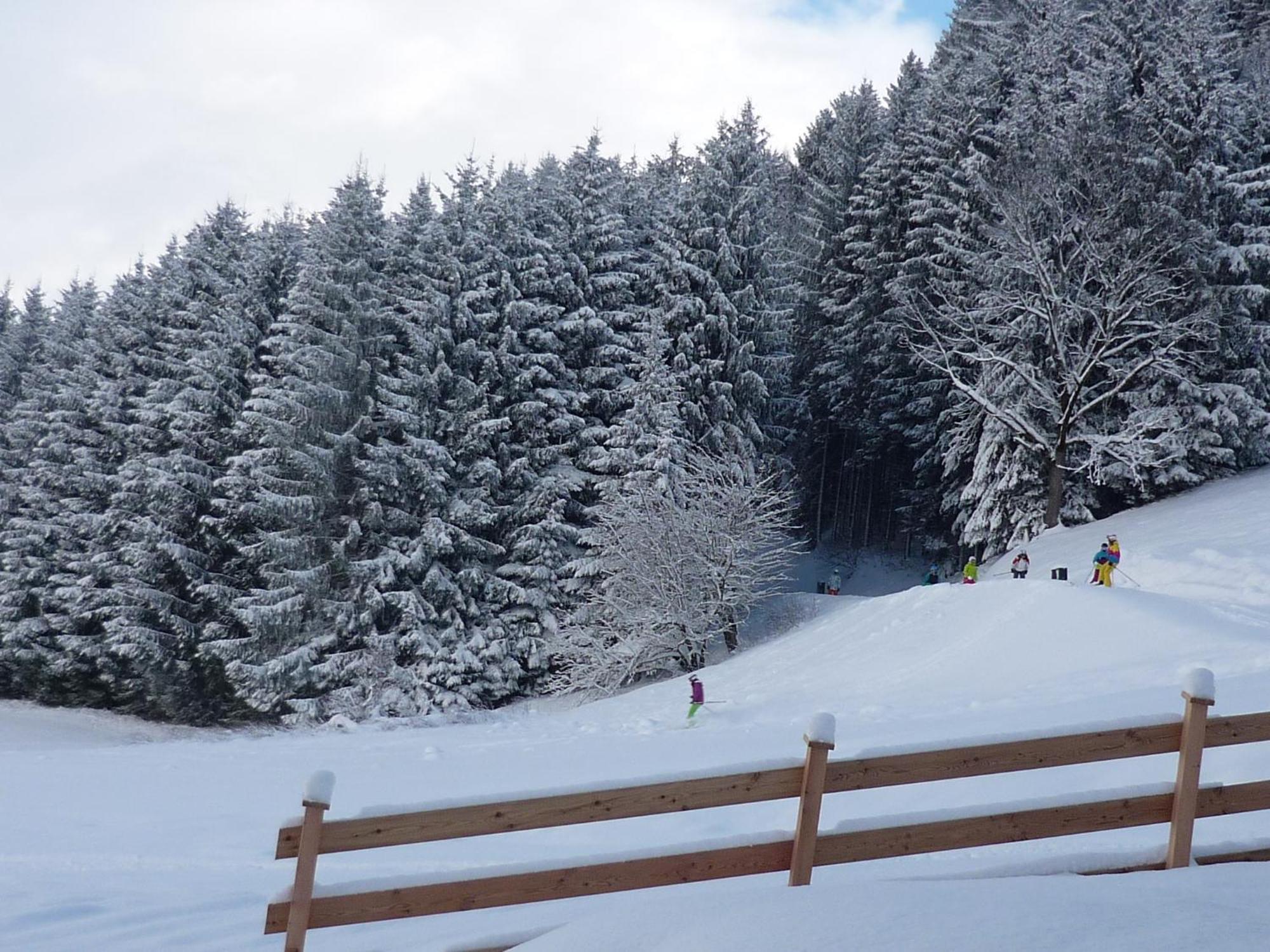Penthouse Alpine Living Direkt An Der Skipiste By Schladmingurlaub Haus im Ennstal Ngoại thất bức ảnh